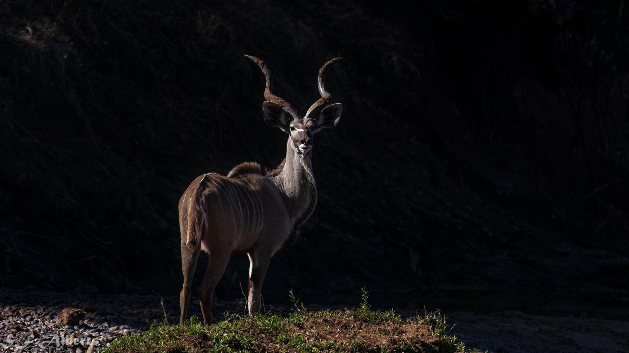 Limpokwena Nature Reserve Tokio ภายนอก รูปภาพ