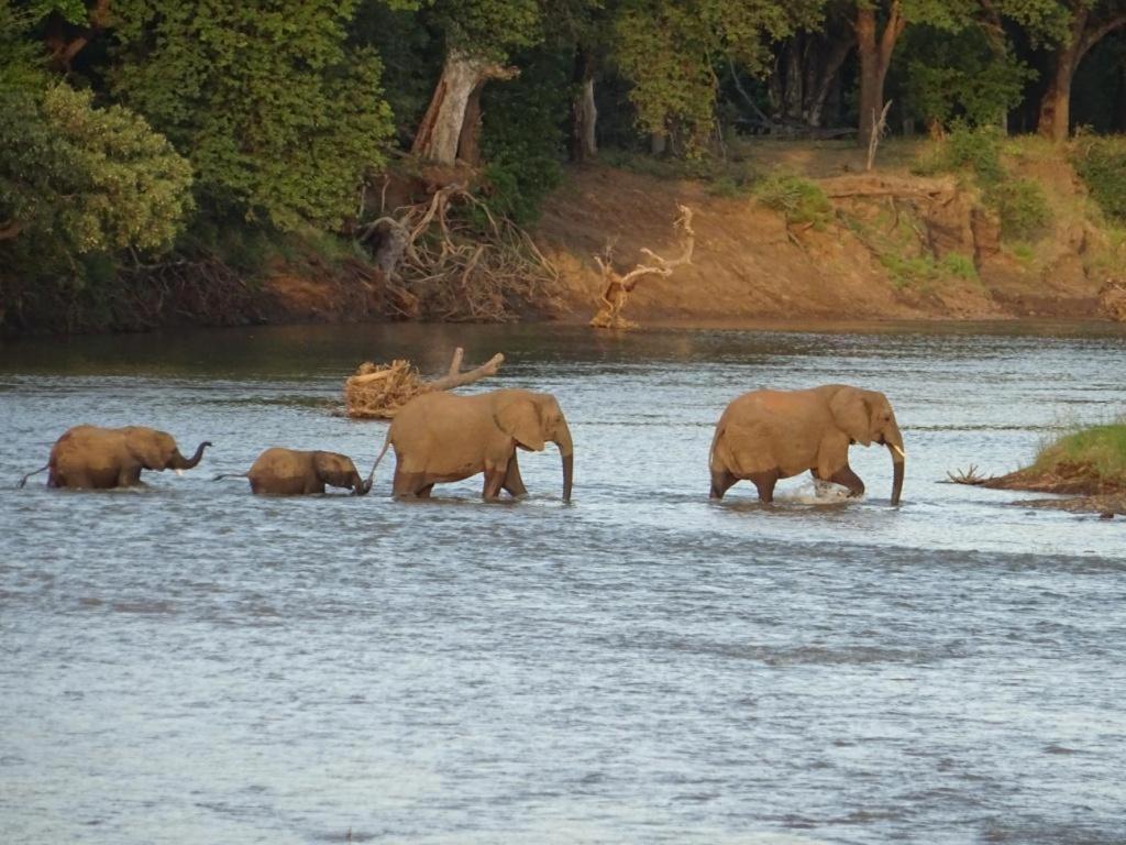 Limpokwena Nature Reserve Tokio ภายนอก รูปภาพ